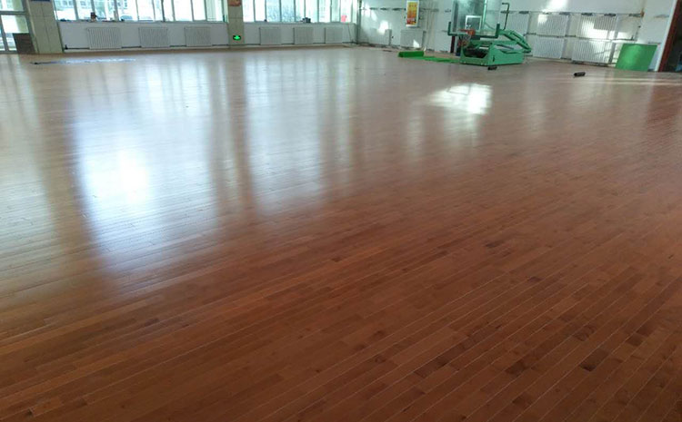 學校乒乓球館木地板圖片及價格