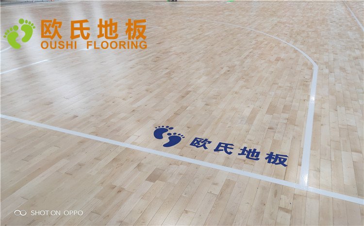 西寧市世紀(jì)職業(yè)技術(shù)學(xué)?；@球訓(xùn)練館木地板圖片